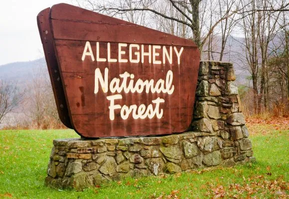  Allegheny-Flight