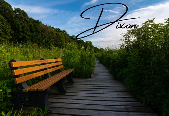  Dixon image