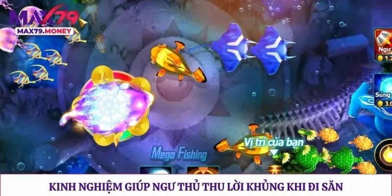 Kinh nghiệm giúp ngư thủ thu lời khủng khi đi săn